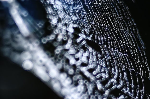 A close-up shot of a silicon wafer with intricate microchip designs, highlighting the complexity and precision involved in semiconductor manufacturing, with a focus on advanced lithography techniques.