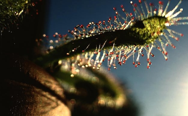 Biotechnology Innovations: Transforming Healthcare and Agriculture in the US