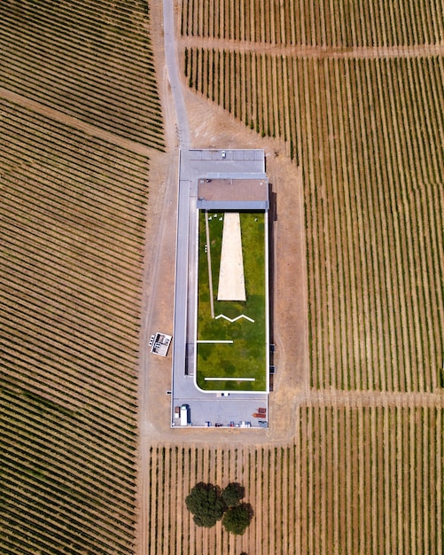 An aerial view of a large, modern farm with rows of crops stretching into the distance. The scene should be a mix of green fields and technologically advanced equipment, such as drones monitoring the crops and automated irrigation systems. The overall impression should be one of efficiency and sustainability.