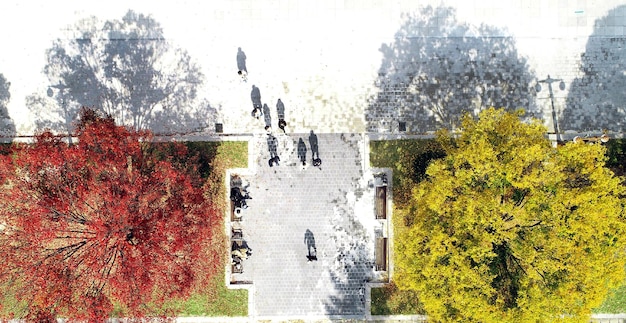A split image showing two contrasting scenes. On one side, a vibrant, bustling town square with people interacting. On the other side, a quiet, empty street with closed storefronts. The colors are muted on the empty street side to enhance the contrast.