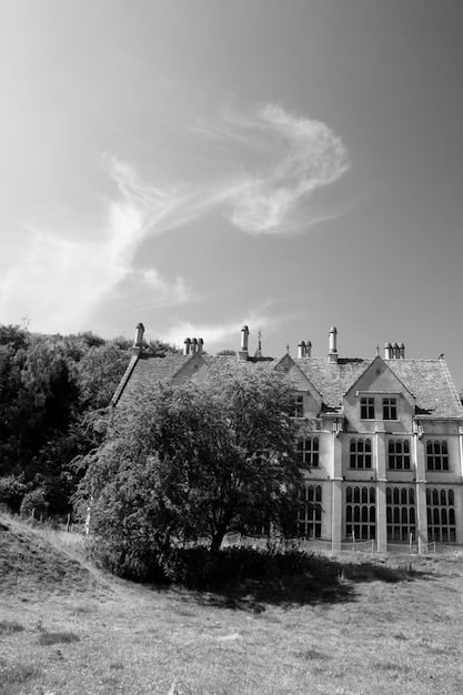 A stark black and white photograph contrasting a luxurious mansion on a hill with a row of modest, rundown houses in the foreground. This visually represents the growing economic disparity in the US.
