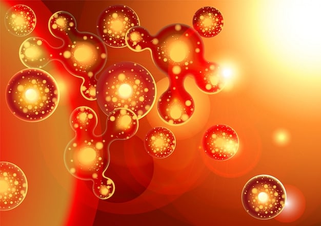 A close-up illustration of immune cells (T cells, macrophages) showing vitamin D receptors on their surface, interacting with vitamin D molecules.