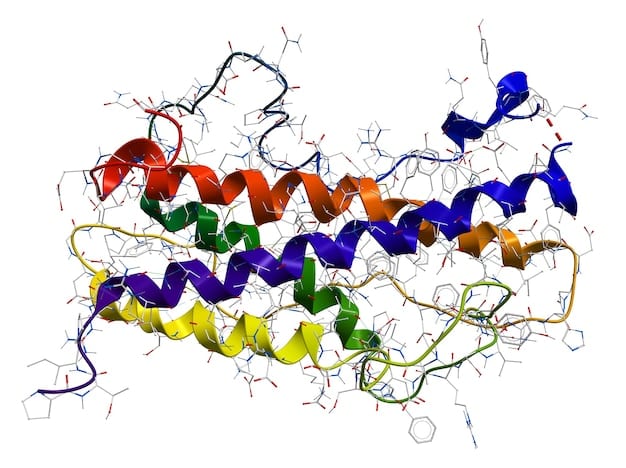 An illustration of a DNA strand with various epigenetic markers (e.g., methyl groups) attached, alongside images of healthy foods known to influence gene expression, such as broccoli, berries, and nuts. This represents the link between diet, epigenetics, and personalized health.