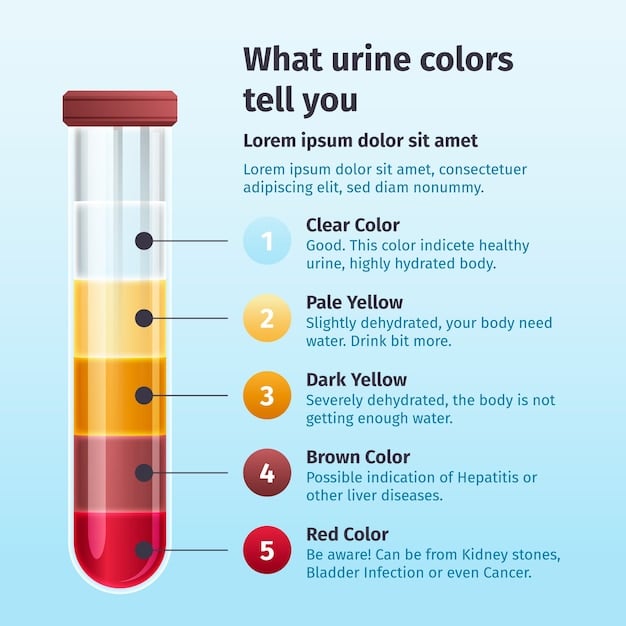 A colorful infographic explaining common blood test abbreviations, such as CBC, CMP, and lipid panel, along with brief descriptions of what each test measures. The infographic is visually appealing with clear headings and bullet points.