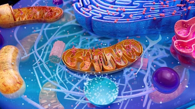 A colorful diagram illustrating the different types of bacteria found in the human gut, with arrows indicating their roles in digestion, immunity, and vitamin production.