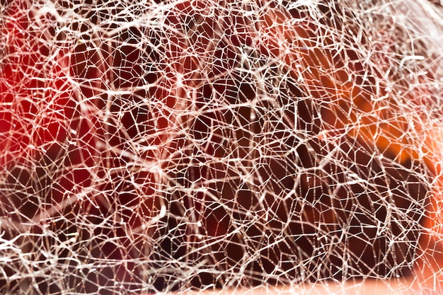 A split image showing microscopic views of muscle fibers before and after resistance training, illustrating muscle fiber damage and subsequent repair/growth.