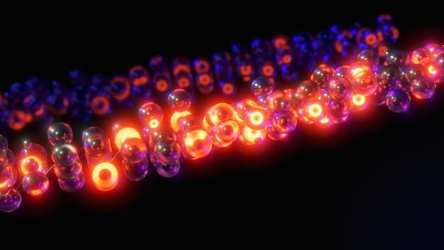 Decoding the Science of Aging: Can We Slow It Down?