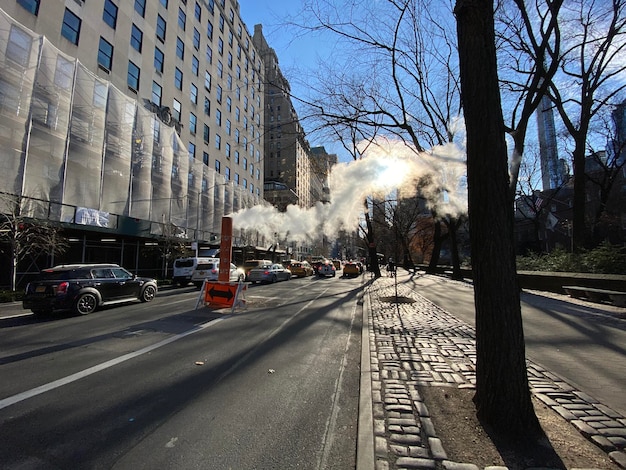 Air Pollution in the US: New Study Links to Respiratory Illnesses