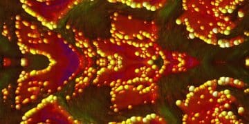 The Future of Cancer Treatment: How Immunotherapy is Achieving Remission - Cover Image