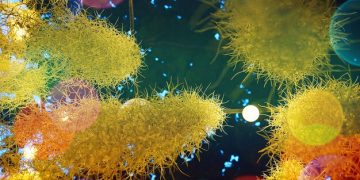 Decoding the Human Microbiome: Gut Health & Overall Well-being - Cover Image
