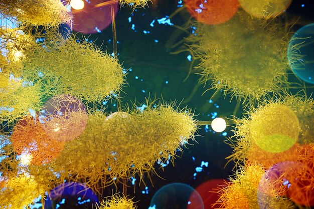 Decoding the Human Microbiome: Gut Health & Overall Well-being