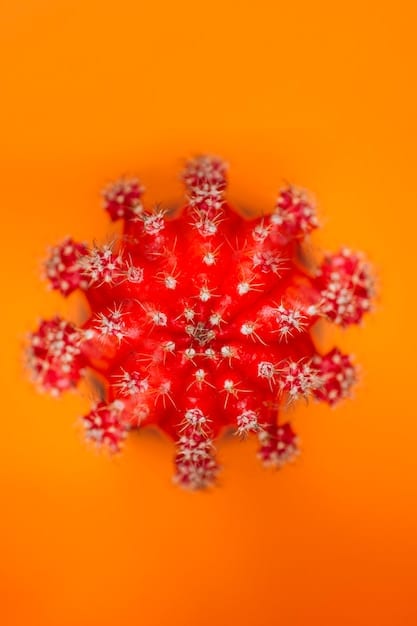 A microscopic image of a COVID-19 variant, showcasing its unique spike protein structure compared to the original strain. The image highlights the specific mutations that affect transmissibility and immune evasion.