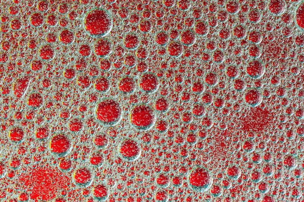 A microscopic view of inflamed tissue, showcasing immune cells and the body's inflammatory response within a blood vessel.