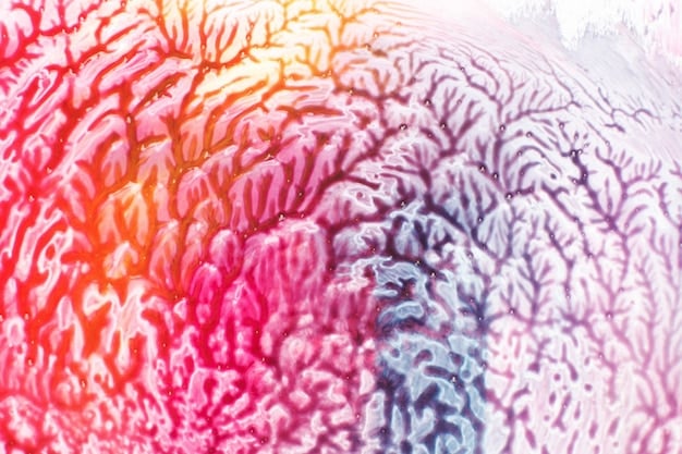 A microscopic view of cells undergoing senescence, with some cells stained to highlight markers of aging and cellular stress.