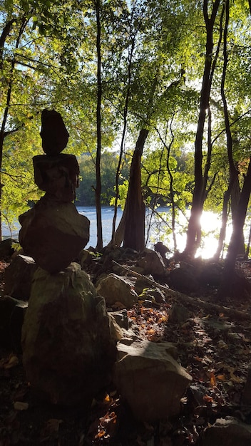 Reduce Stress by 40%: The Benefits of Mindfulness Meditation